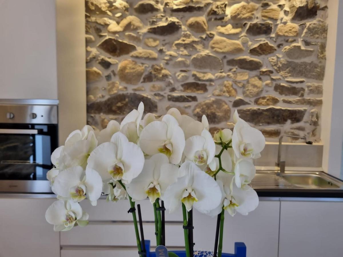 Apartmán Stazzo San Teodoro La Quercia Piscina Condivisa Exteriér fotografie