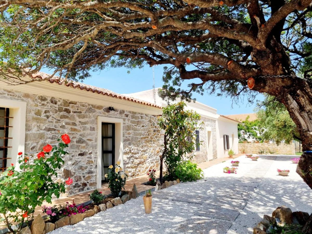 Apartmán Stazzo San Teodoro La Quercia Piscina Condivisa Exteriér fotografie